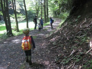IMG_8553