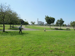 IMG_0141
