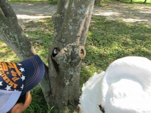IMG_0149