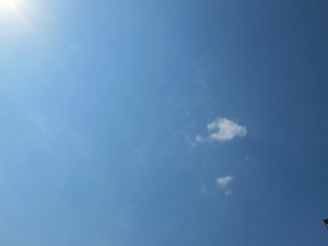 IMG_0167