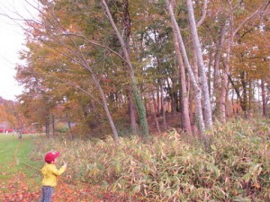 1-IMG_2133