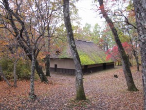 IMG_1545