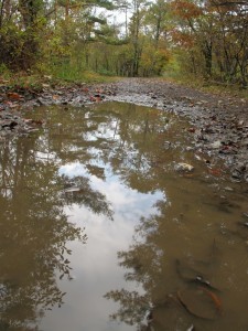 IMG_1576