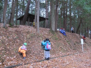 IMG_2960