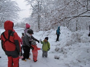 IMG_3151
