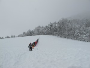 IMG_3172