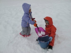 IMG_3173