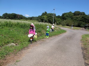 IMG_2600
