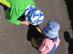 IMG_2605