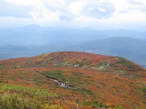 IMG_3092