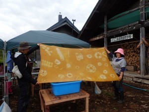 P9236033